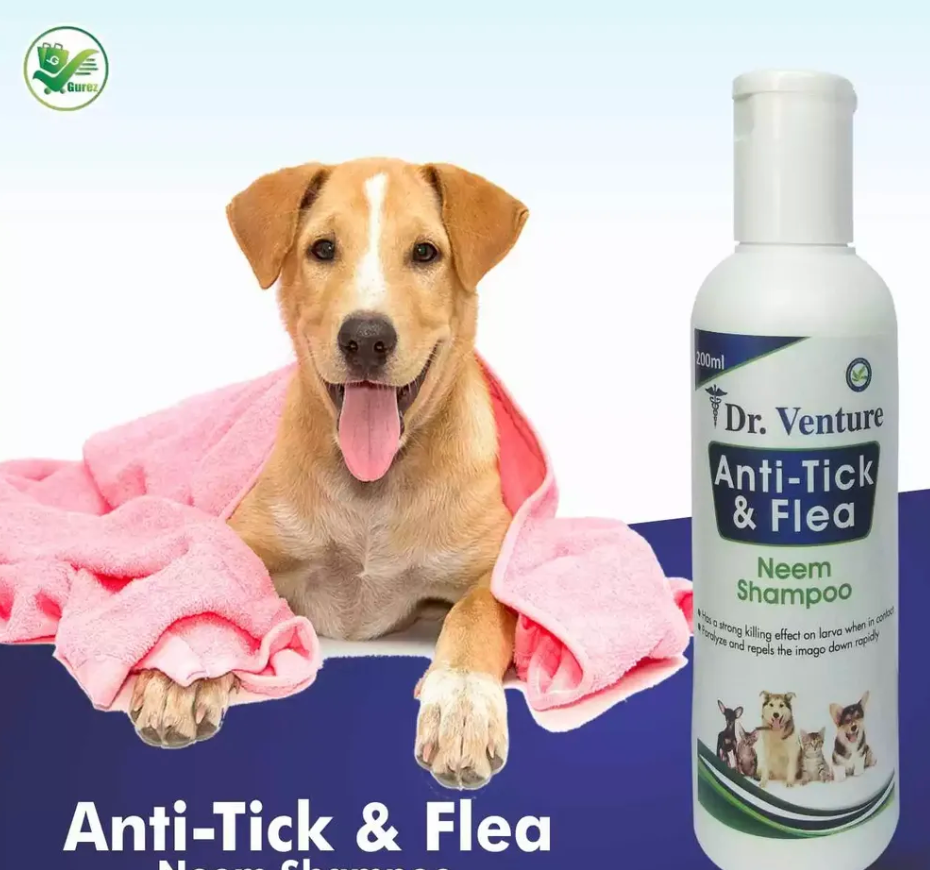 Dr Venture Natural Neem with Aromatic Oil Shampoo
